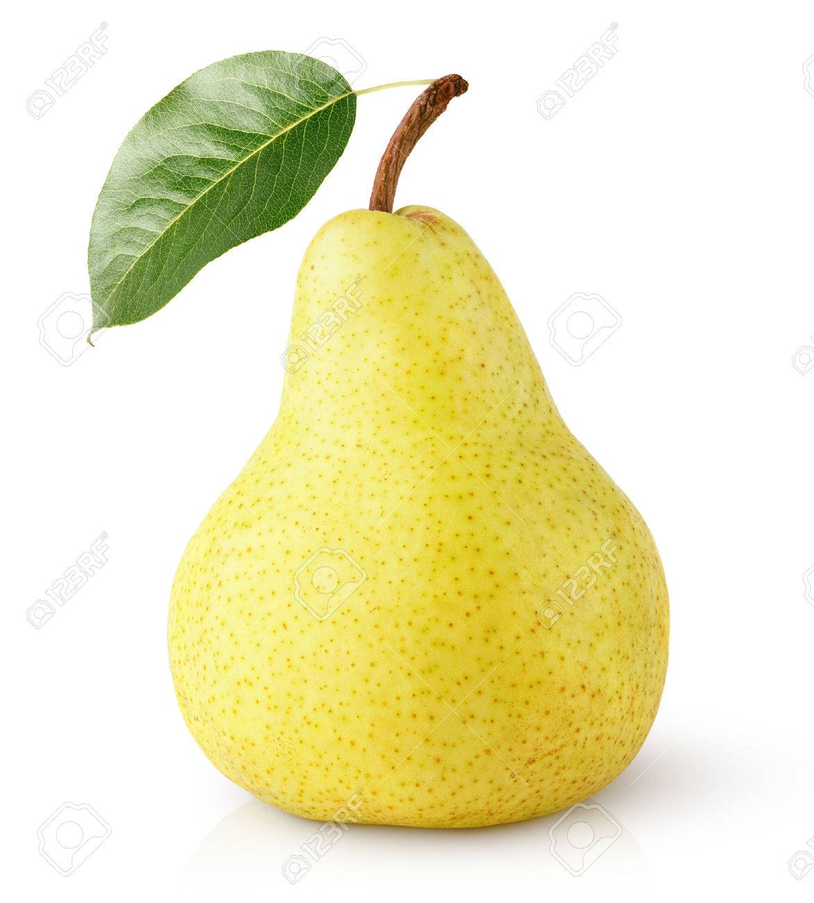 Detail Picture Of Pear Fruit Nomer 38