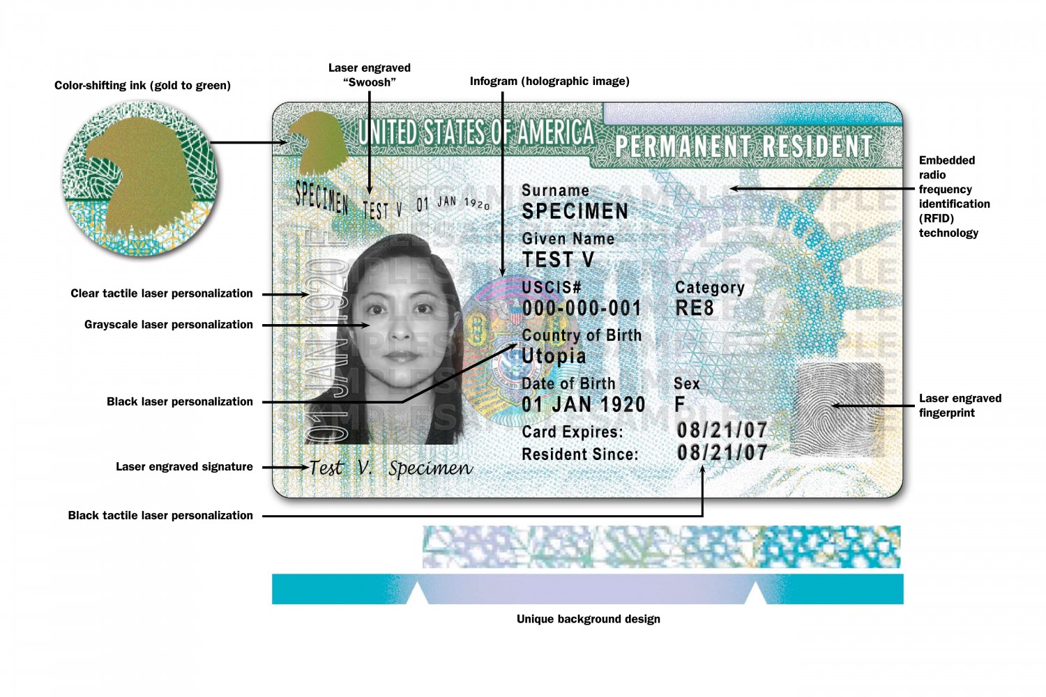 Detail Picture Of Permanent Resident Card Nomer 3