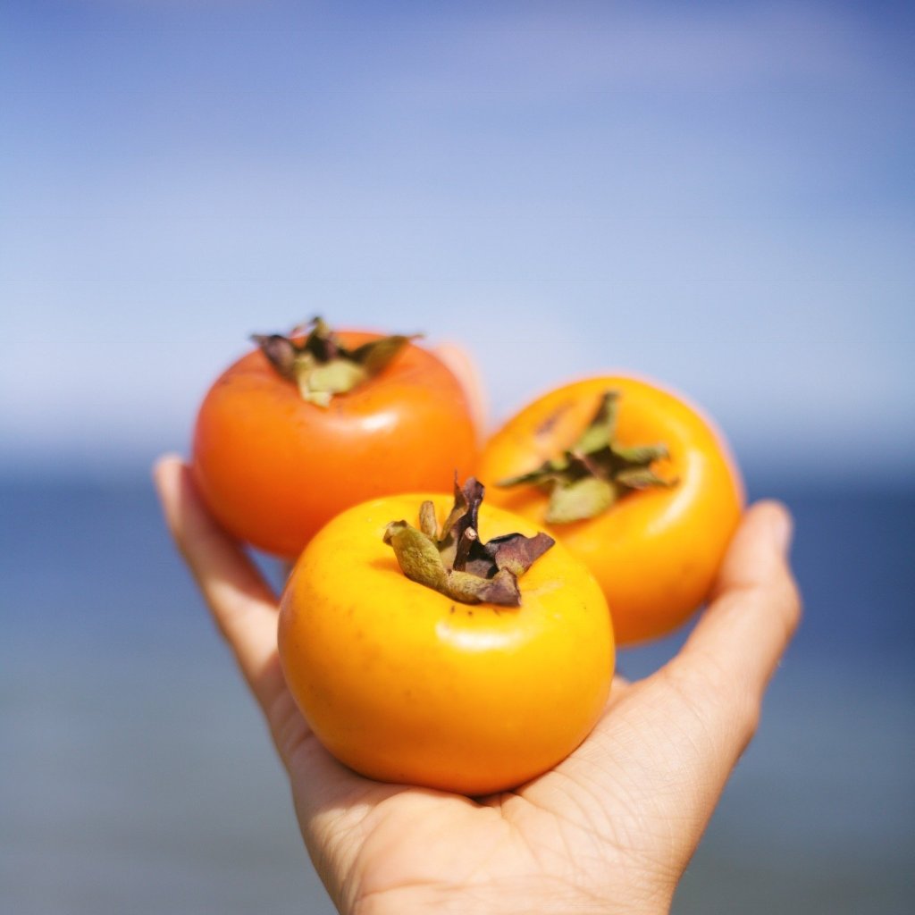 Detail Picture Of Persimmon Fruit Nomer 43