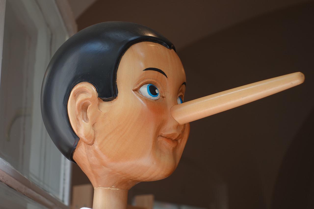 Detail Picture Of Pinocchio Nose Nomer 8