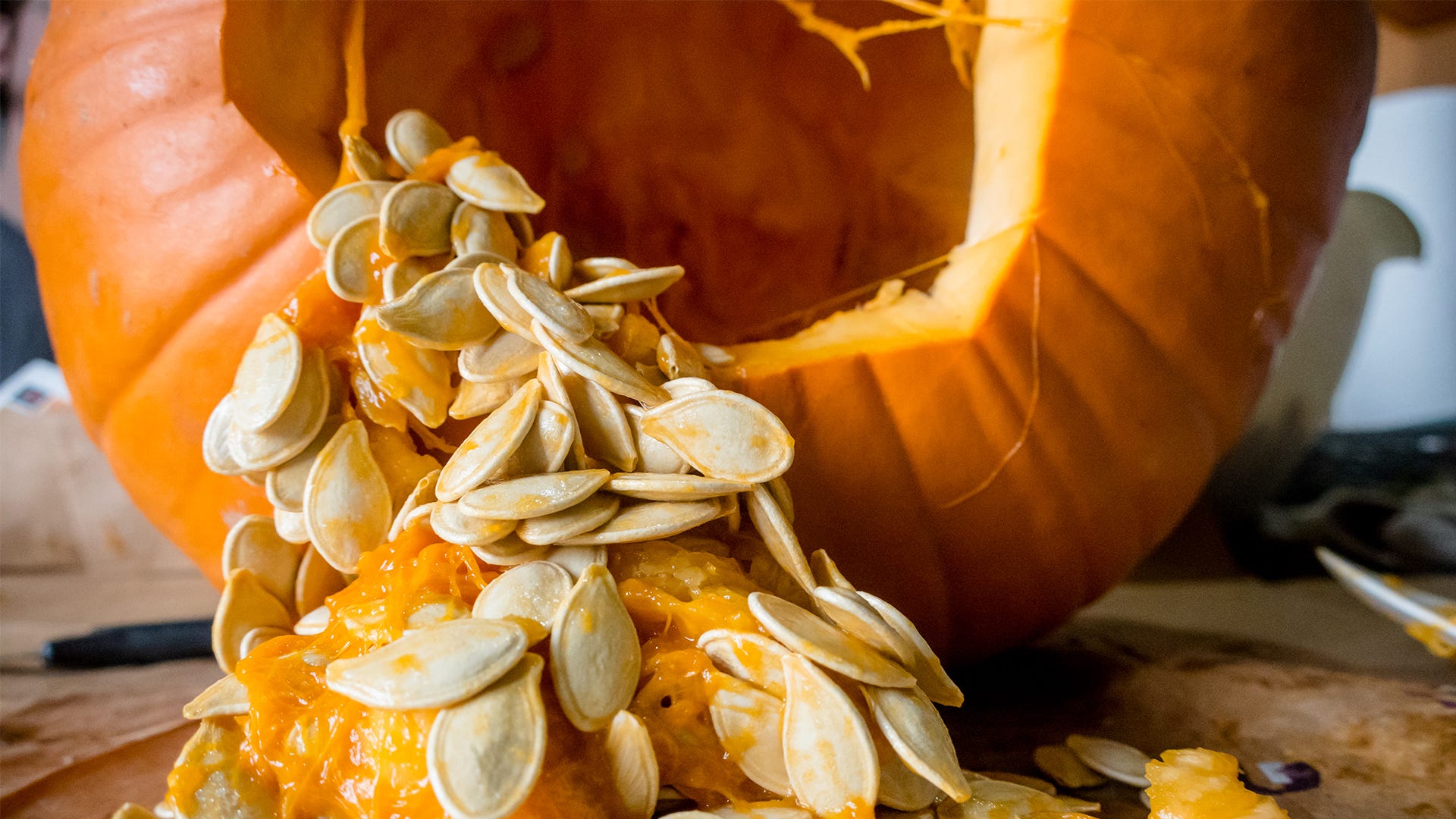 Detail Picture Of Pumpkin Seeds Nomer 10