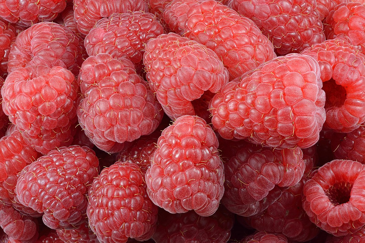 Picture Of Raspberries - KibrisPDR