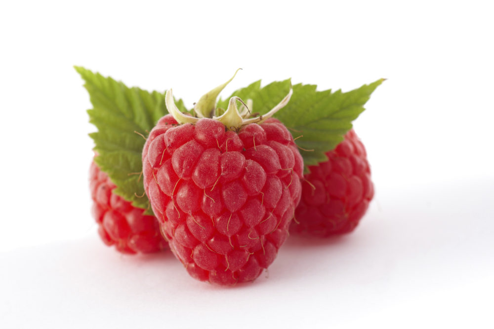 Detail Picture Of Raspberries Nomer 2