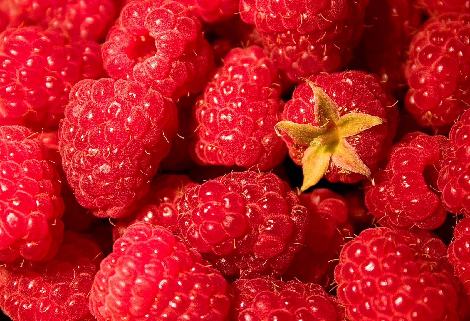 Detail Picture Of Raspberries Nomer 9