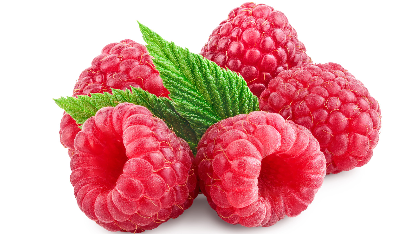 Detail Picture Of Raspberries Nomer 13