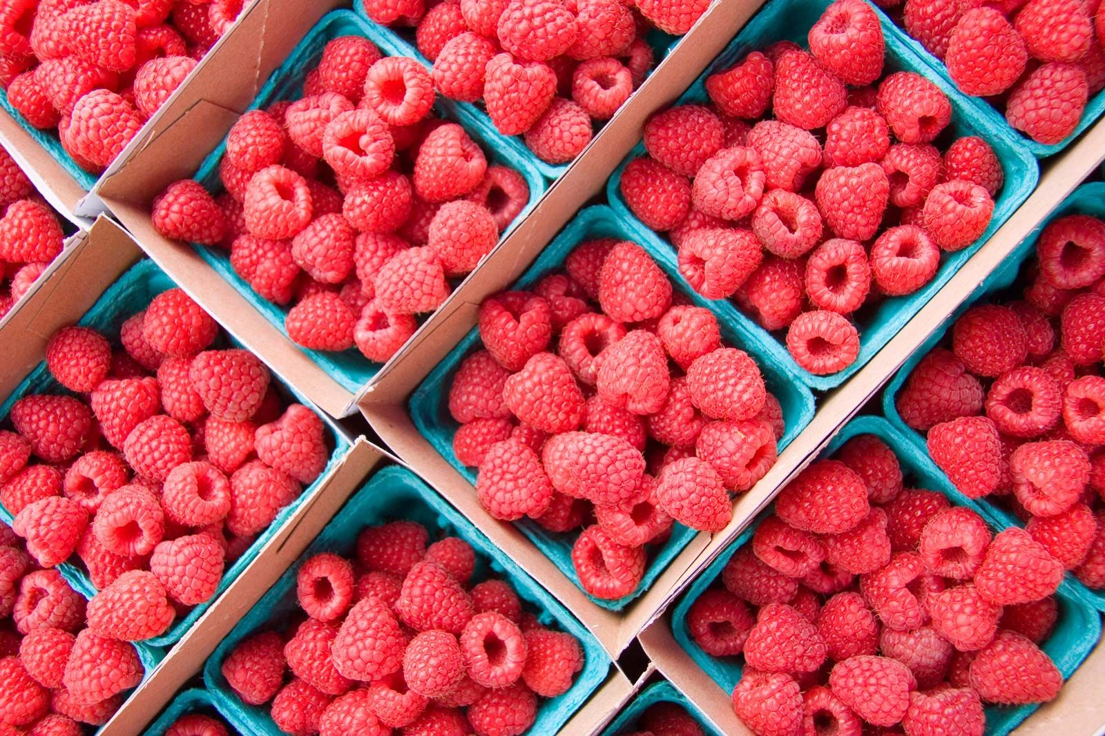 Detail Picture Of Raspberries Nomer 29