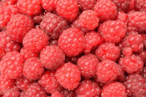 Detail Picture Of Raspberries Nomer 36