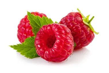 Detail Picture Of Raspberries Nomer 44