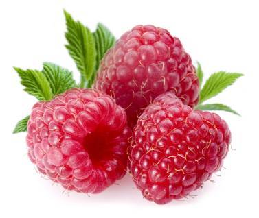 Detail Picture Of Raspberries Nomer 7