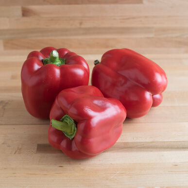 Detail Picture Of Red Bell Pepper Nomer 29