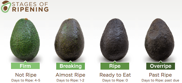 Detail Picture Of Ripe Avocado Nomer 14