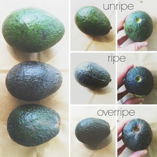 Detail Picture Of Ripe Avocado Nomer 16