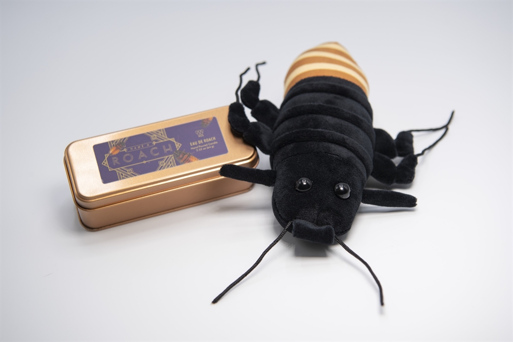 Detail Picture Of Roach Nomer 35