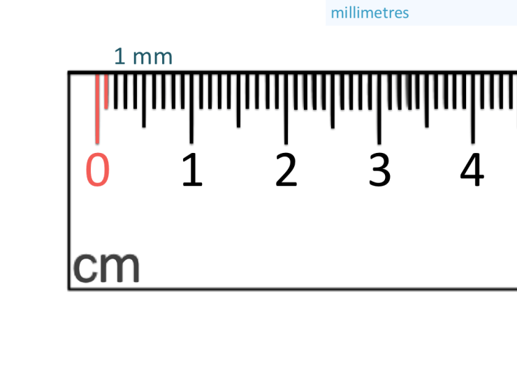 Detail Picture Of Ruler Measurements Nomer 45