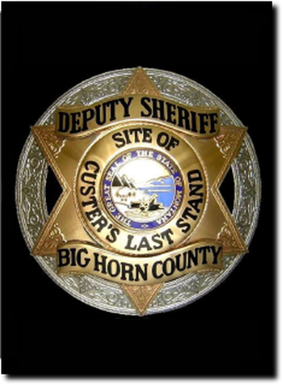 Detail Picture Of Sheriff Badge Nomer 47