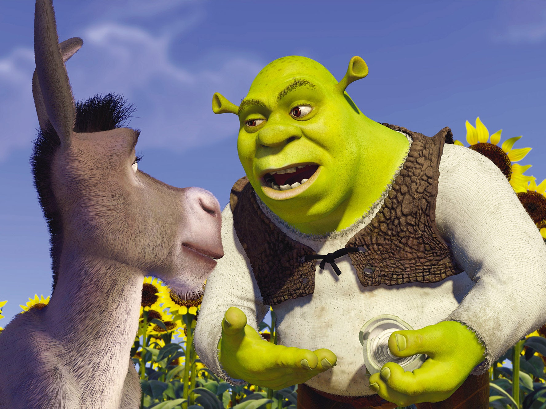 Detail Picture Of Shrek Nomer 19