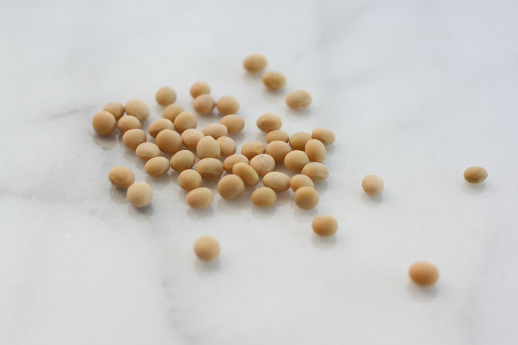 Detail Picture Of Soybeans Nomer 47