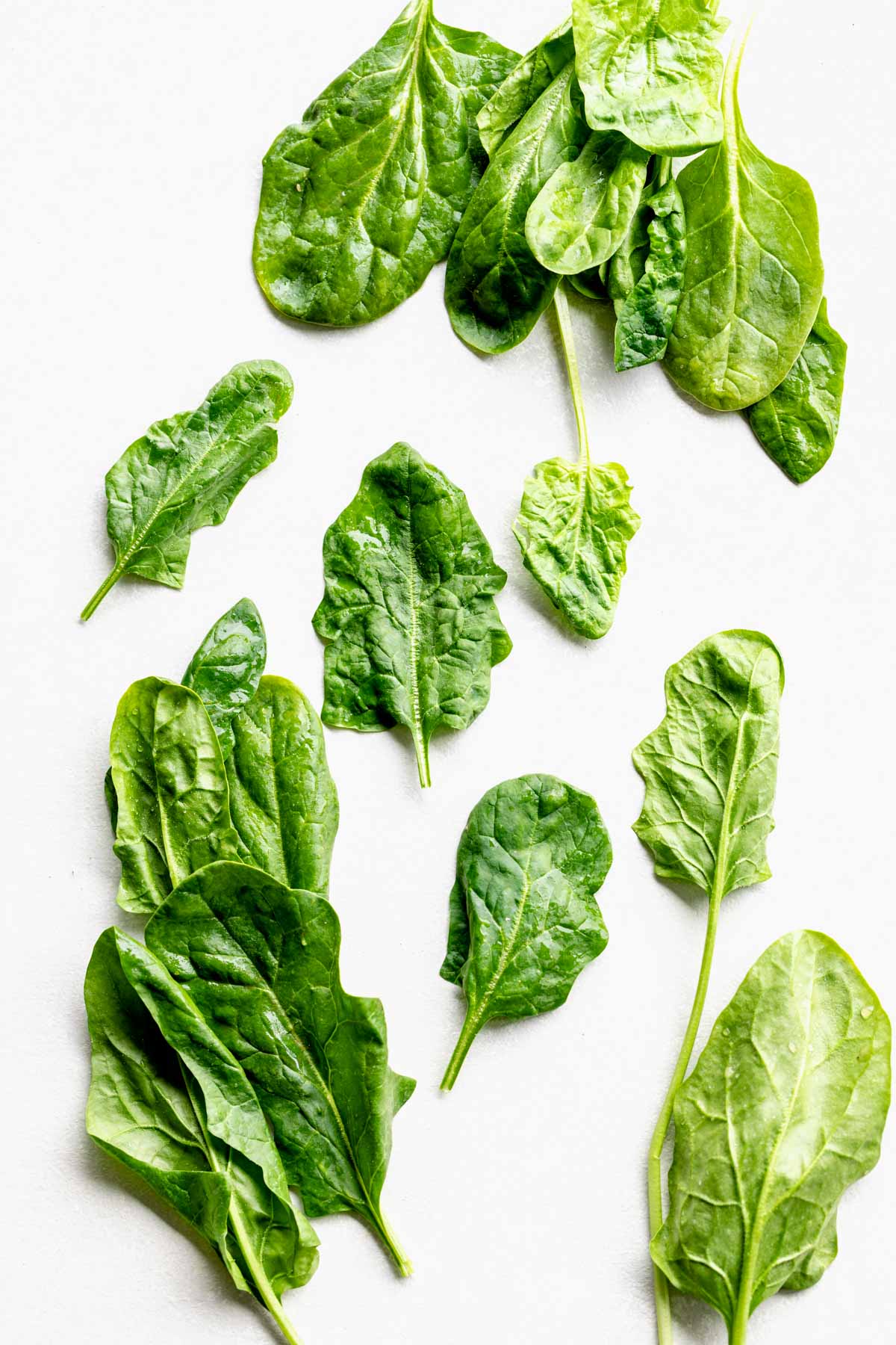 Detail Picture Of Spinach Leaf Nomer 26