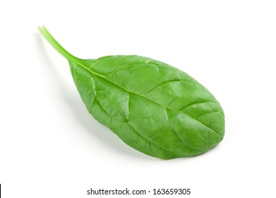 Detail Picture Of Spinach Leaf Nomer 8