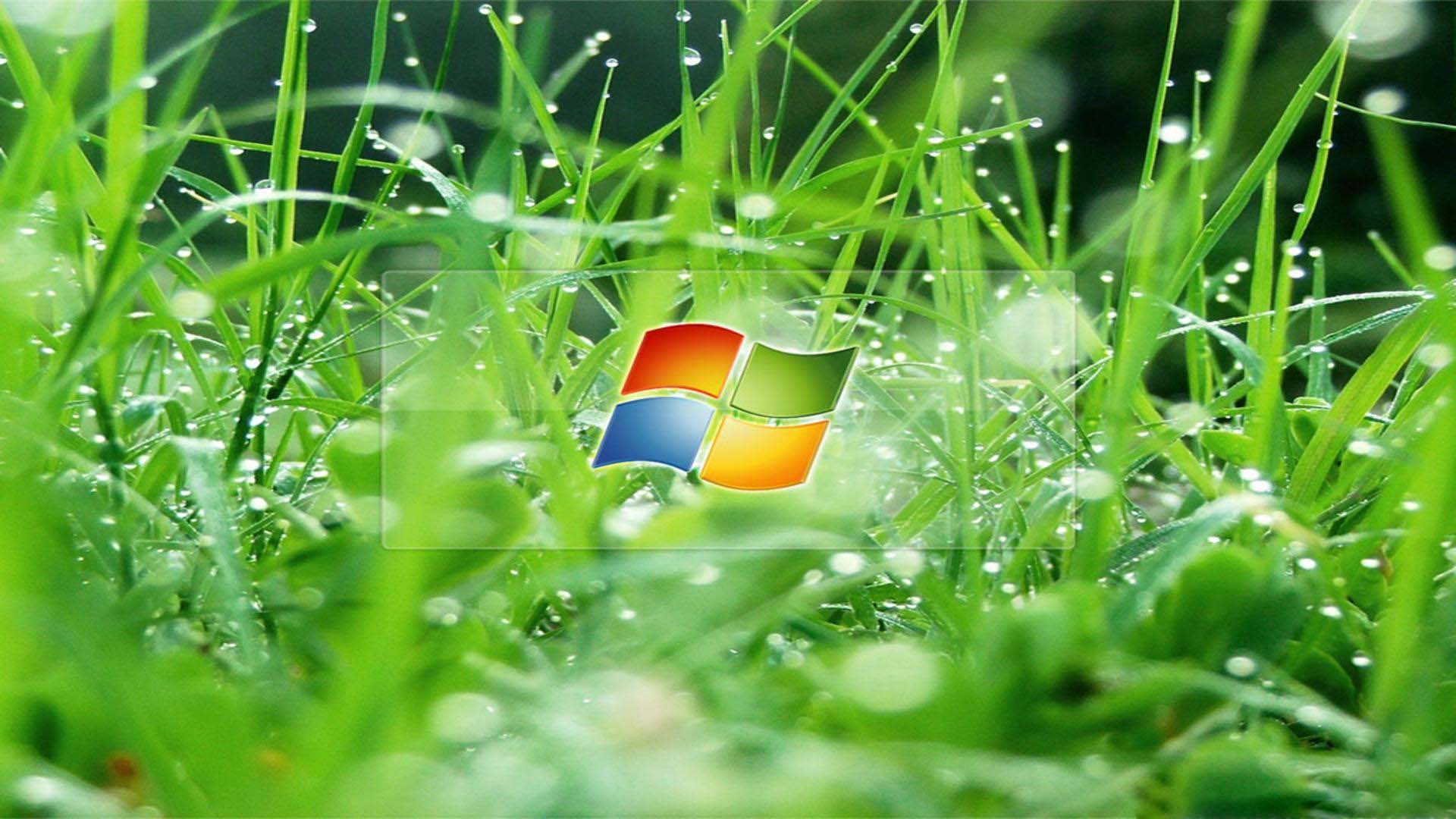 Detail Desktop Background Bergerak Windows 8 Nomer 7