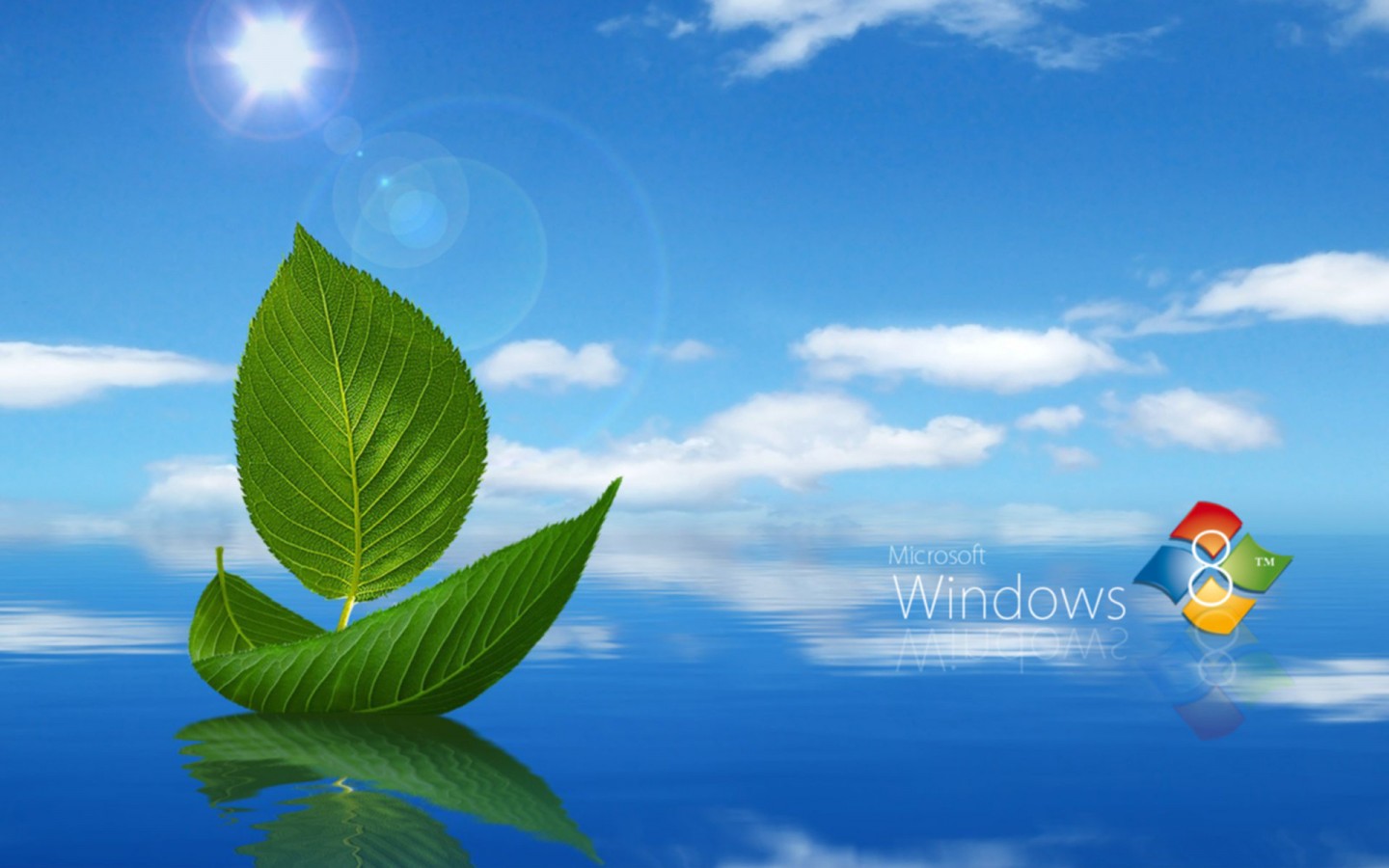 Detail Desktop Background Bergerak Windows 8 Nomer 10