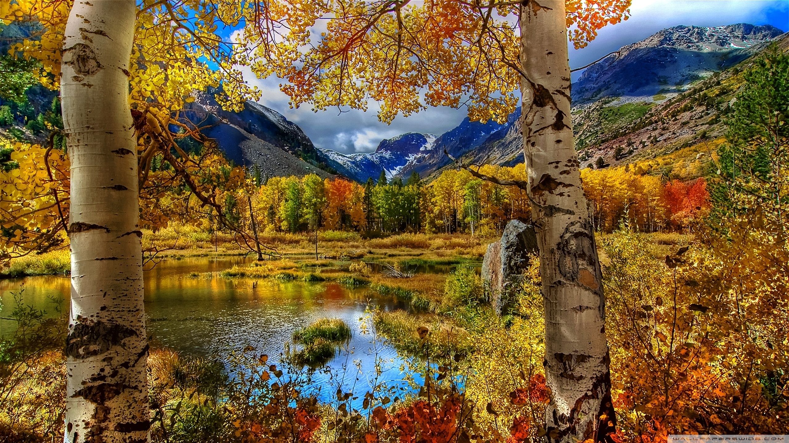 Detail Desktop Backgrounds Hd Fall Nomer 40