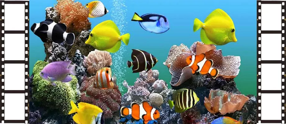 Detail Desktop Wallpaper Bergerak Nomer 8
