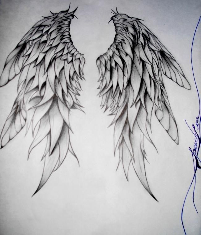 Detailed Angel Wings Drawing - KibrisPDR