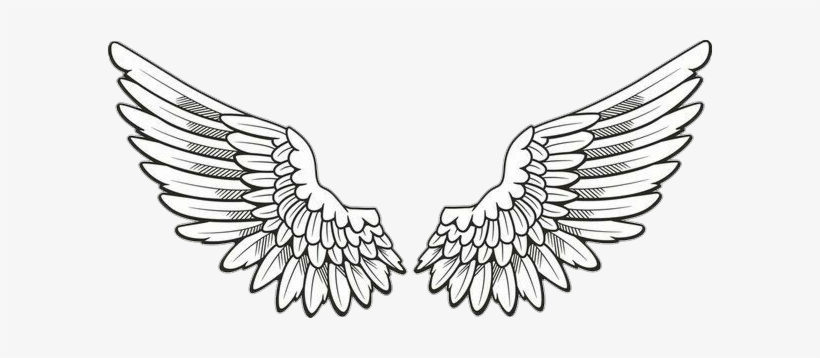 Detail Detailed Angel Wings Drawing Nomer 19