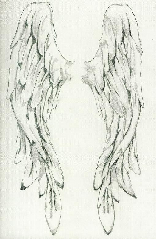 Detail Detailed Angel Wings Drawing Nomer 22
