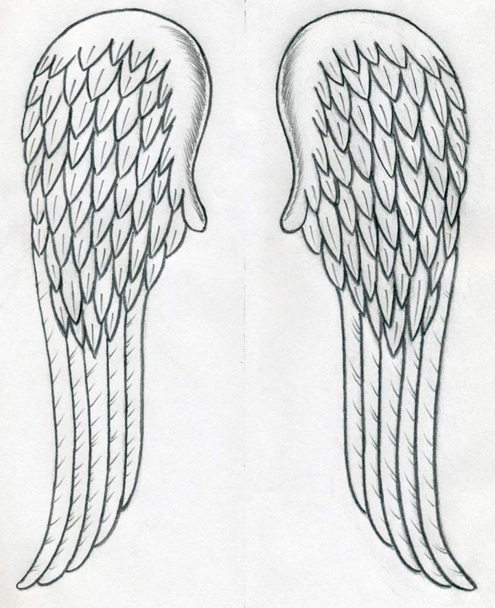 Detail Detailed Angel Wings Drawing Nomer 23