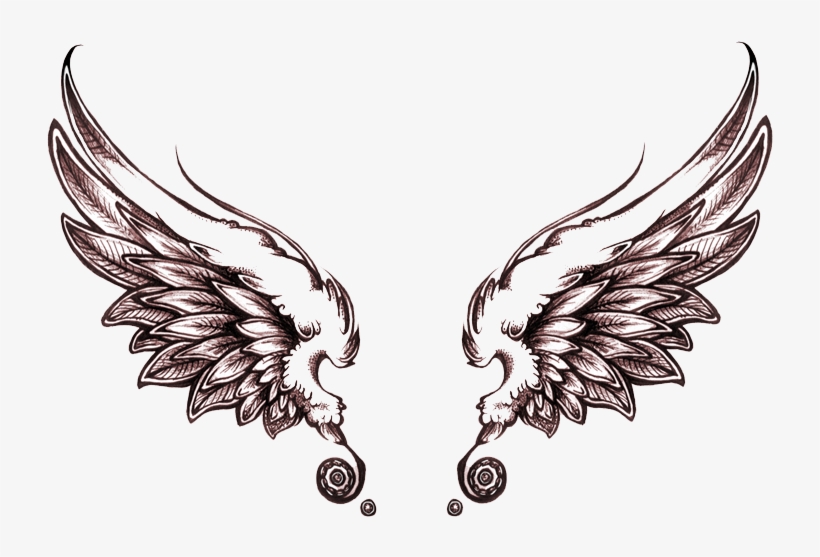 Detail Detailed Angel Wings Drawing Nomer 28