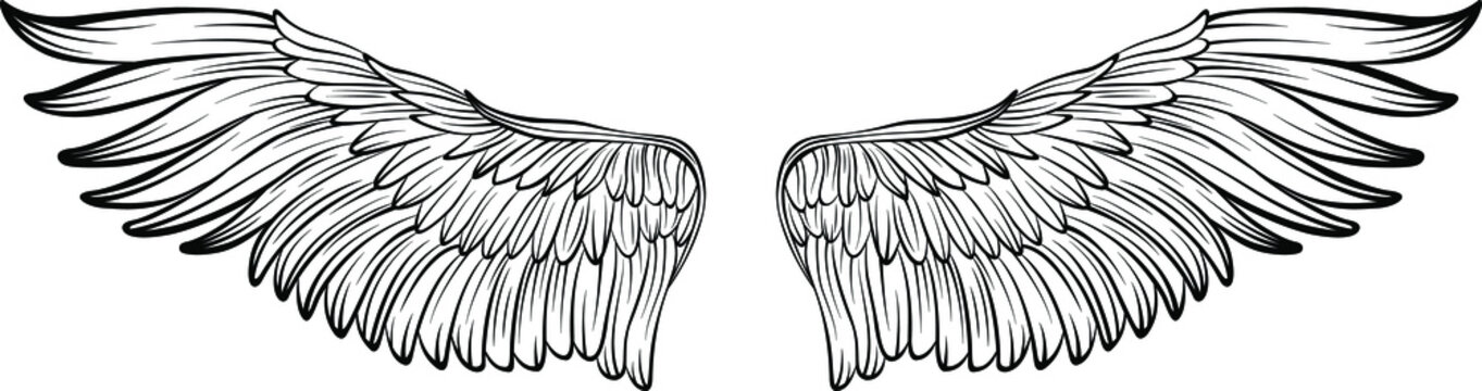 Detail Detailed Angel Wings Drawing Nomer 41