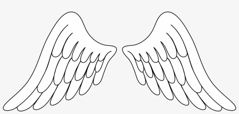 Detail Detailed Angel Wings Drawing Nomer 46