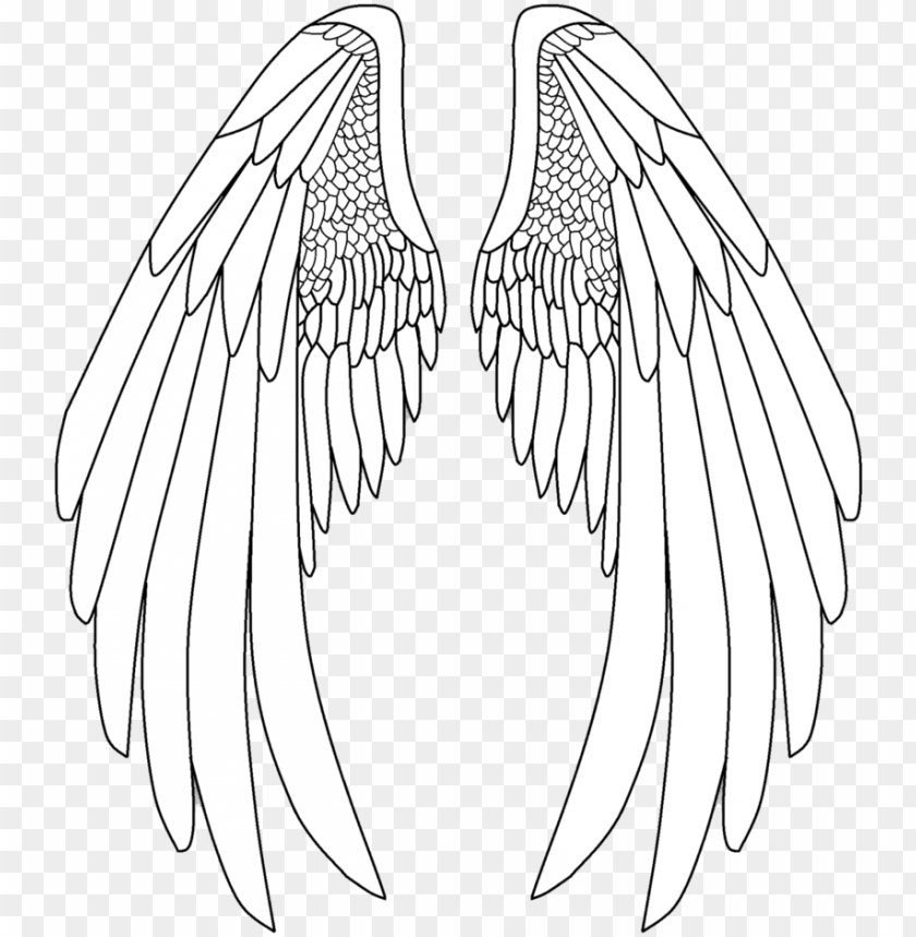 Detail Detailed Angel Wings Drawing Nomer 51