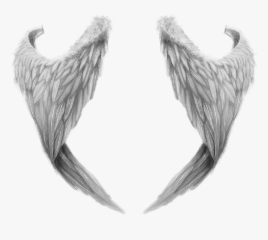 Detail Detailed Angel Wings Drawing Nomer 52