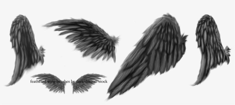 Detail Detailed Angel Wings Drawing Nomer 54