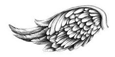 Detail Detailed Angel Wings Drawing Nomer 6