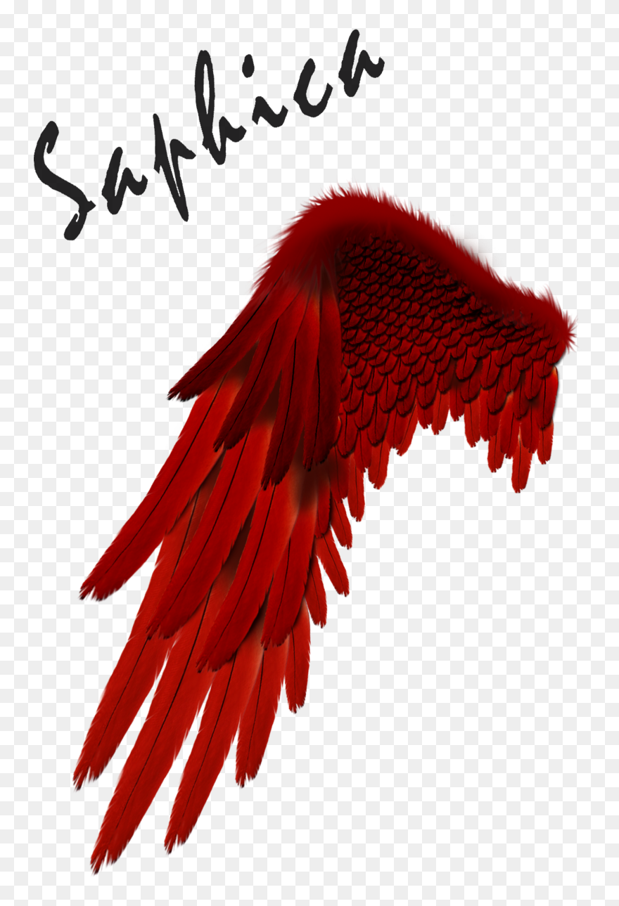 Detail Devil Wings Clipart Nomer 34