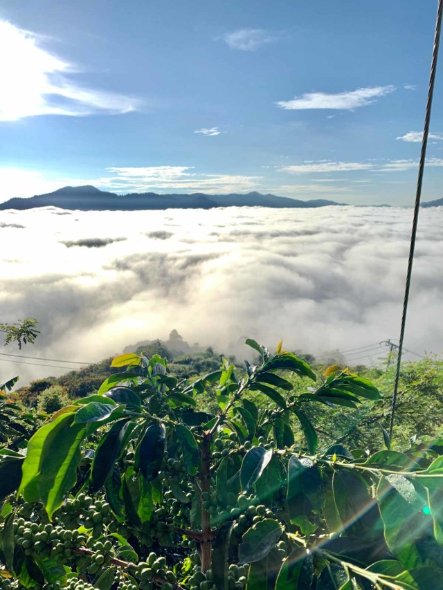 Detail Di Atas Awan Nomer 48