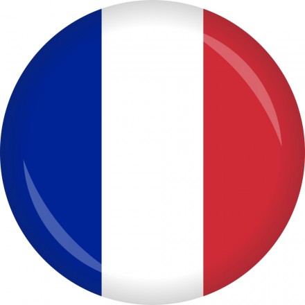 Detail Fahne Frankreich Bild Nomer 22