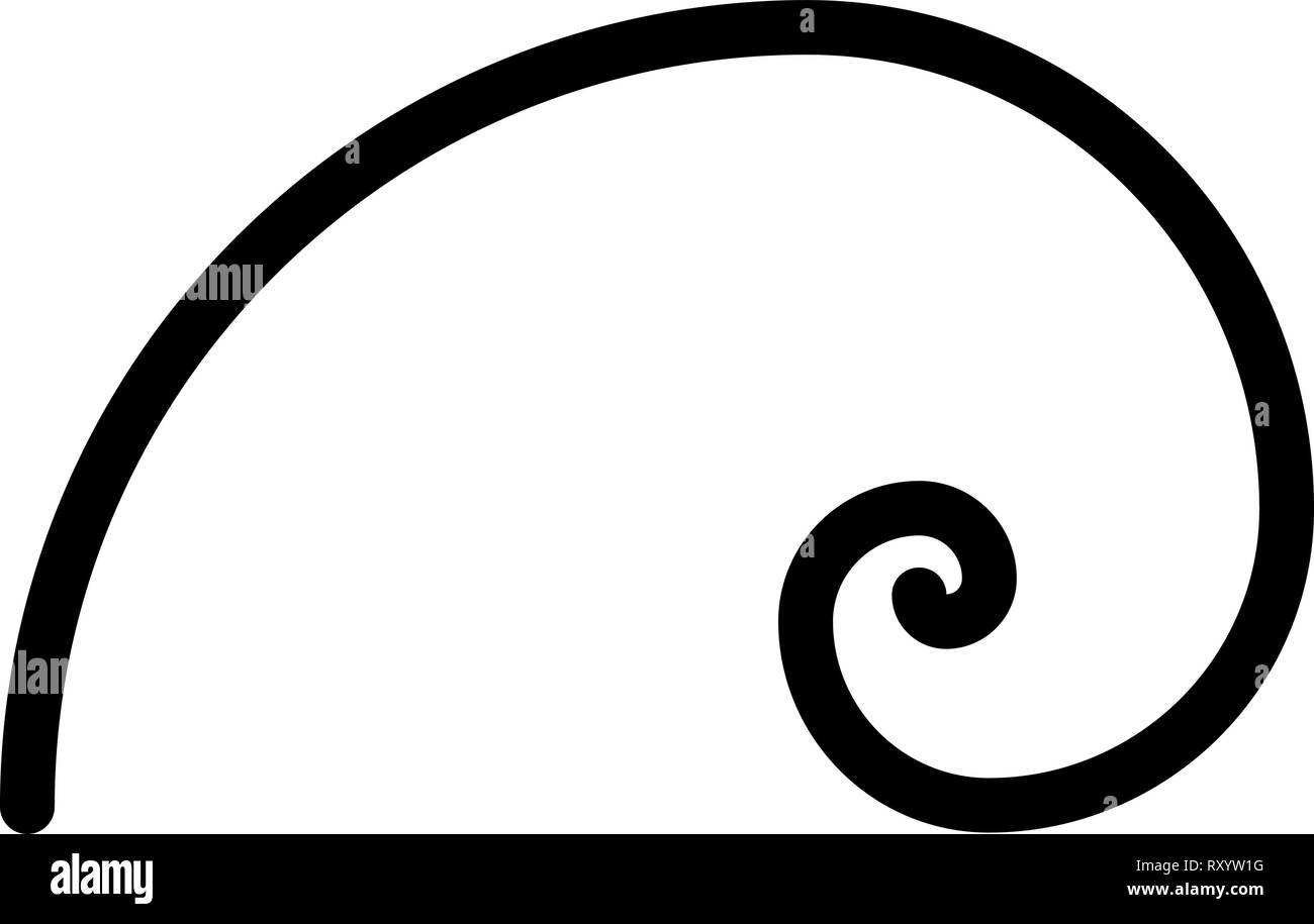 Detail Fibonacci Schnecke Nomer 14