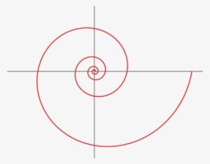 Detail Fibonacci Schnecke Nomer 17