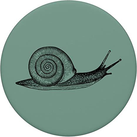 Detail Fibonacci Schnecke Nomer 21