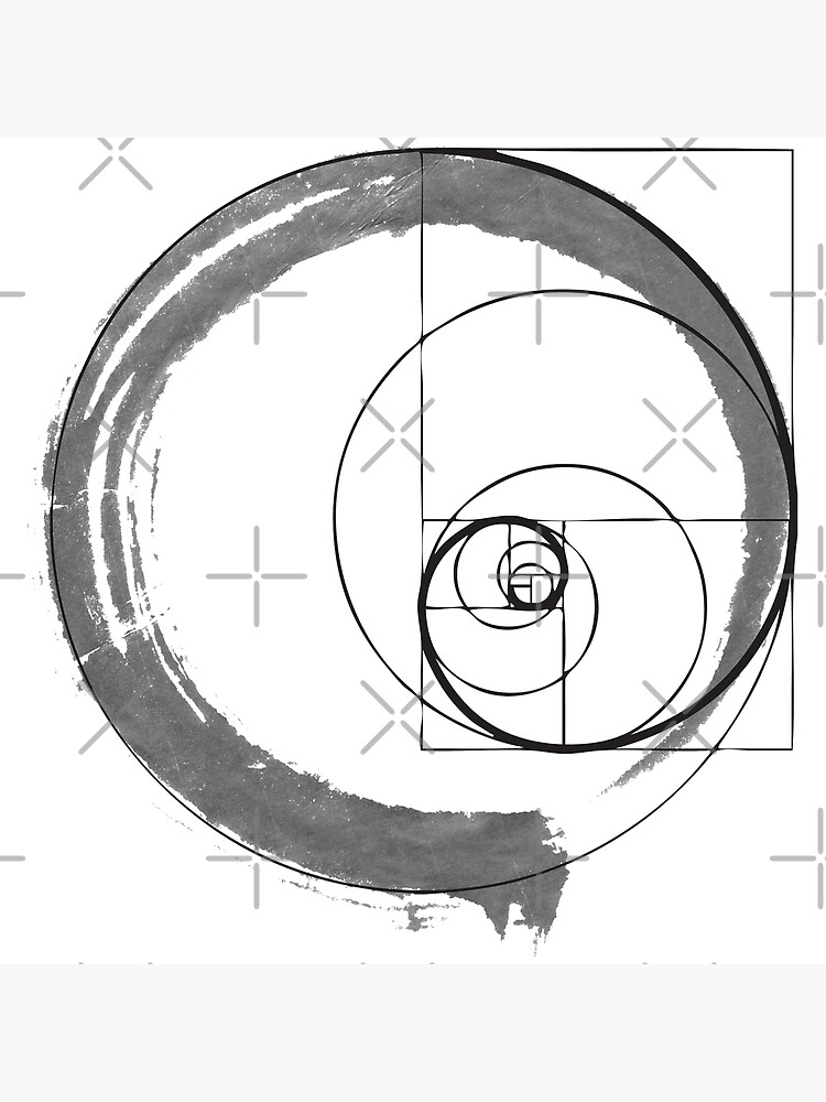 Detail Fibonacci Schnecke Nomer 5