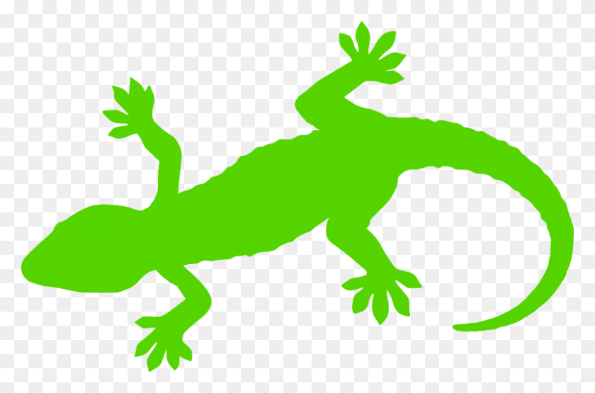 Detail Gecko Bilder Nomer 12
