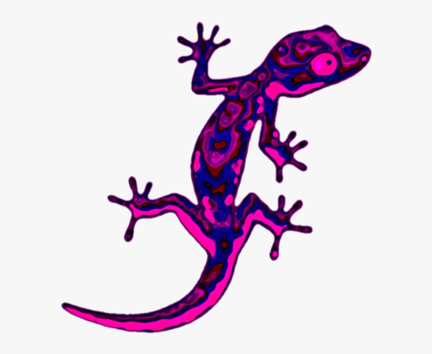 Detail Gecko Bilder Nomer 16