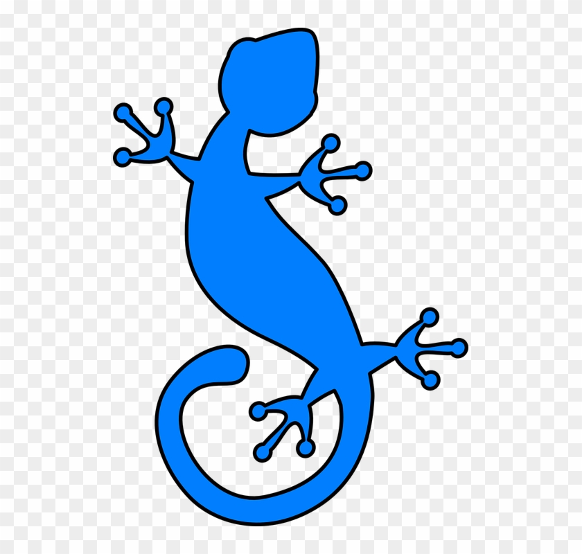 Detail Gecko Bilder Nomer 17