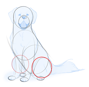 Detail Hunde Knochen Zeichnen Nomer 11