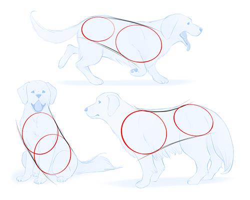 Detail Hunde Knochen Zeichnen Nomer 16